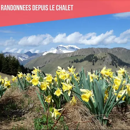 Cocotte - Petanque, Jacuzzi & Baby-foot 종루프 롱지메르