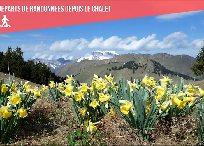 Cocotte - Petanque, Jacuzzi & Baby-foot 종루프 롱지메르